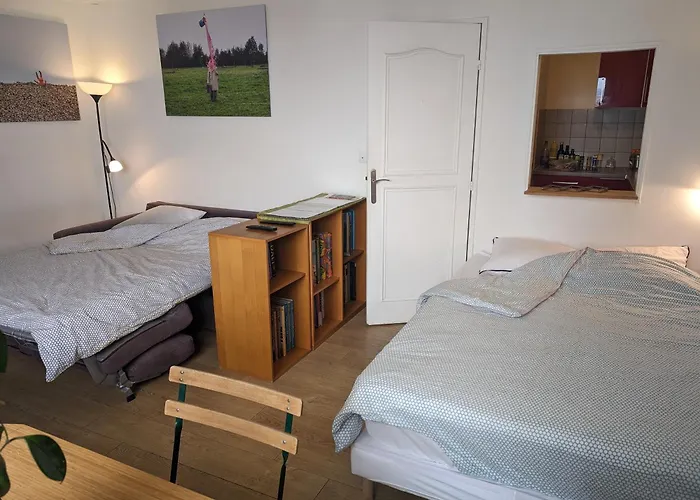 Large Studio With Terrace For Up To 4 People