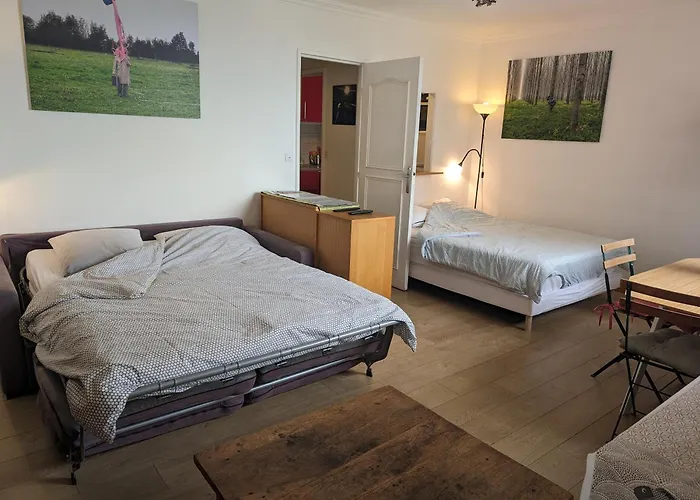 Large Studio With Terrace For Up To 4 People